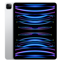 Apple iPad Pro 12.9-inch 6th Generation (2022, M2, Wi-Fi, 256GB) - Silver